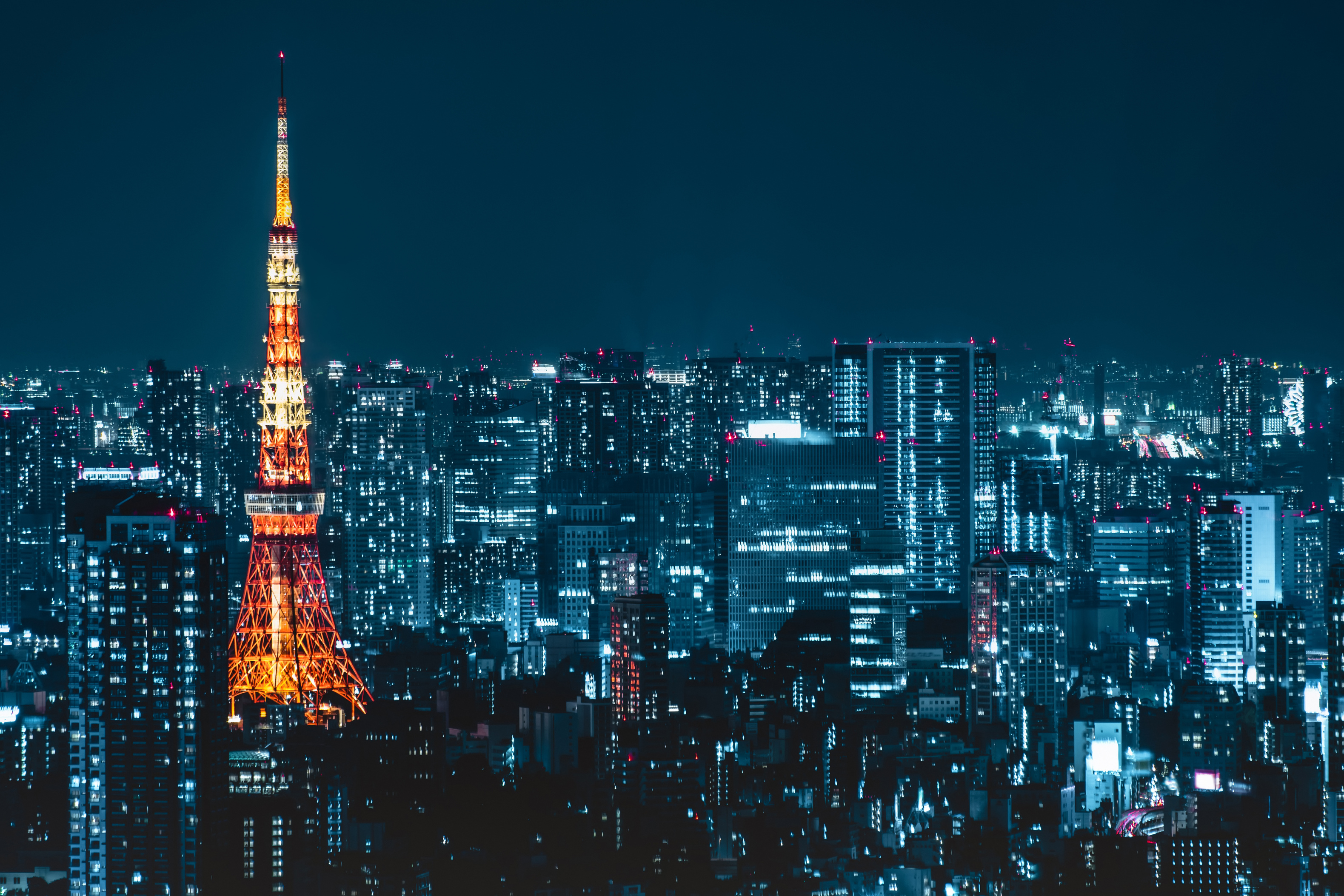 Tokyo City Skyline at Night